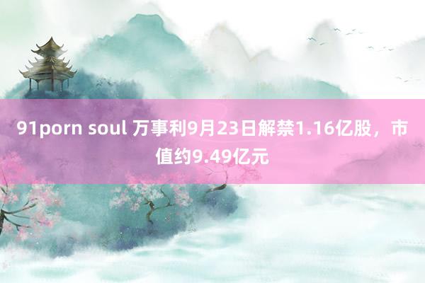 91porn soul 万事利9月23日解禁1.16亿股，市值约9.49亿元