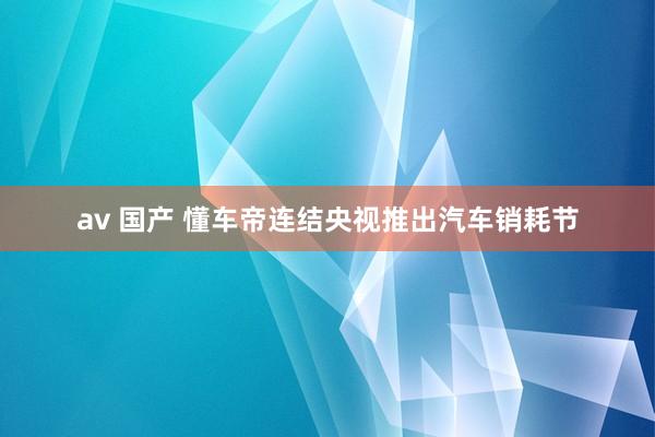 av 国产 懂车帝连结央视推出汽车销耗节