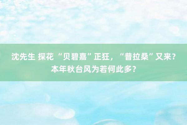 沈先生 探花 “贝碧嘉”正狂，“普拉桑”又来？本年秋台风为若何此多？