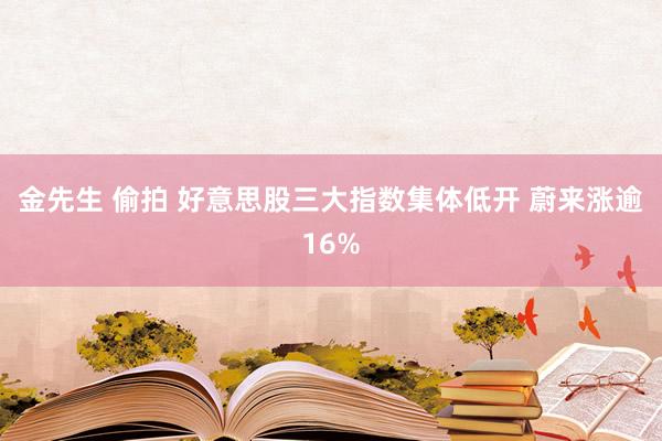 金先生 偷拍 好意思股三大指数集体低开 蔚来涨逾16%