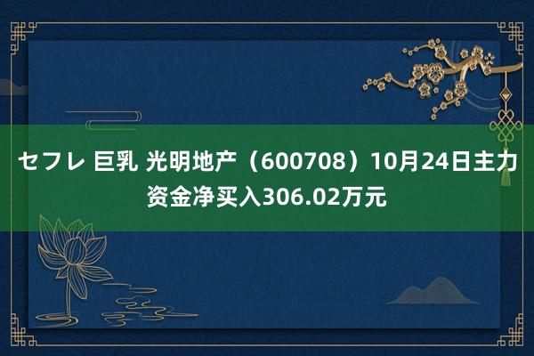 セフレ 巨乳 光明地产（600708）10月24日主力资金净买入306.02万元