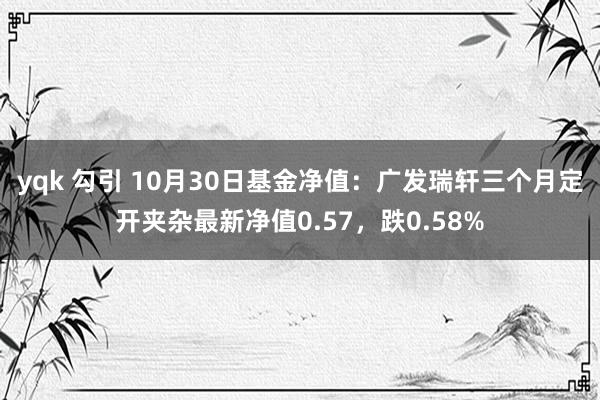 yqk 勾引 10月30日基金净值：广发瑞轩三个月定开夹杂最新净值0.57，跌0.58%
