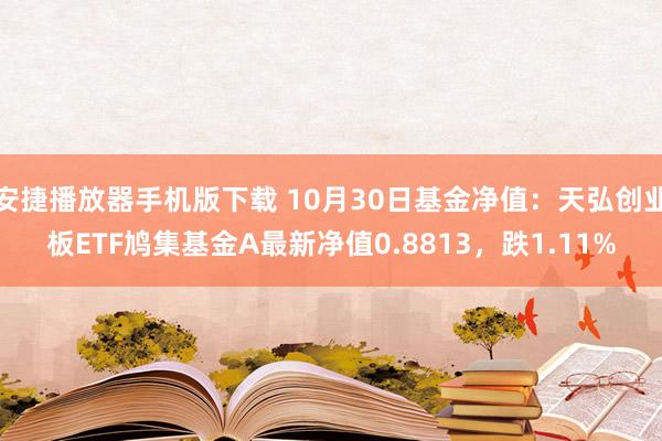 安捷播放器手机版下载 10月30日基金净值：天弘创业板ETF鸠集基金A最新净值0.8813，跌1.11%