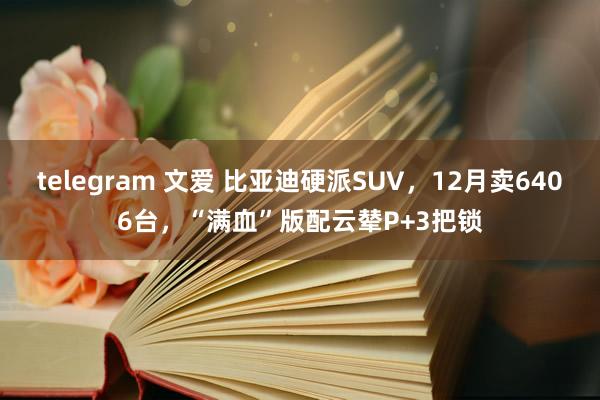 telegram 文爱 比亚迪硬派SUV，12月卖6406台，“满血”版配云辇P+3把锁