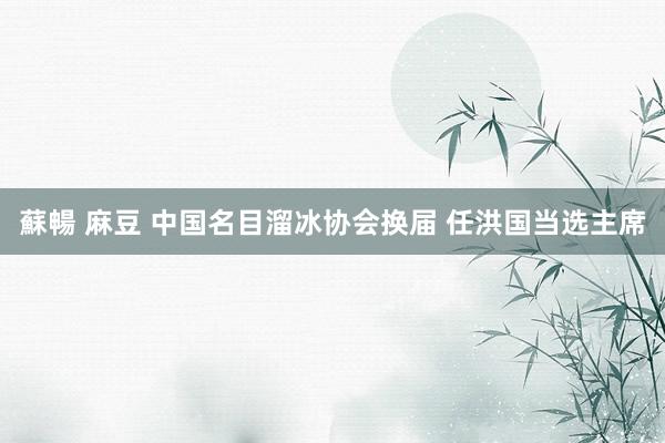 蘇暢 麻豆 中国名目溜冰协会换届 任洪国当选主席